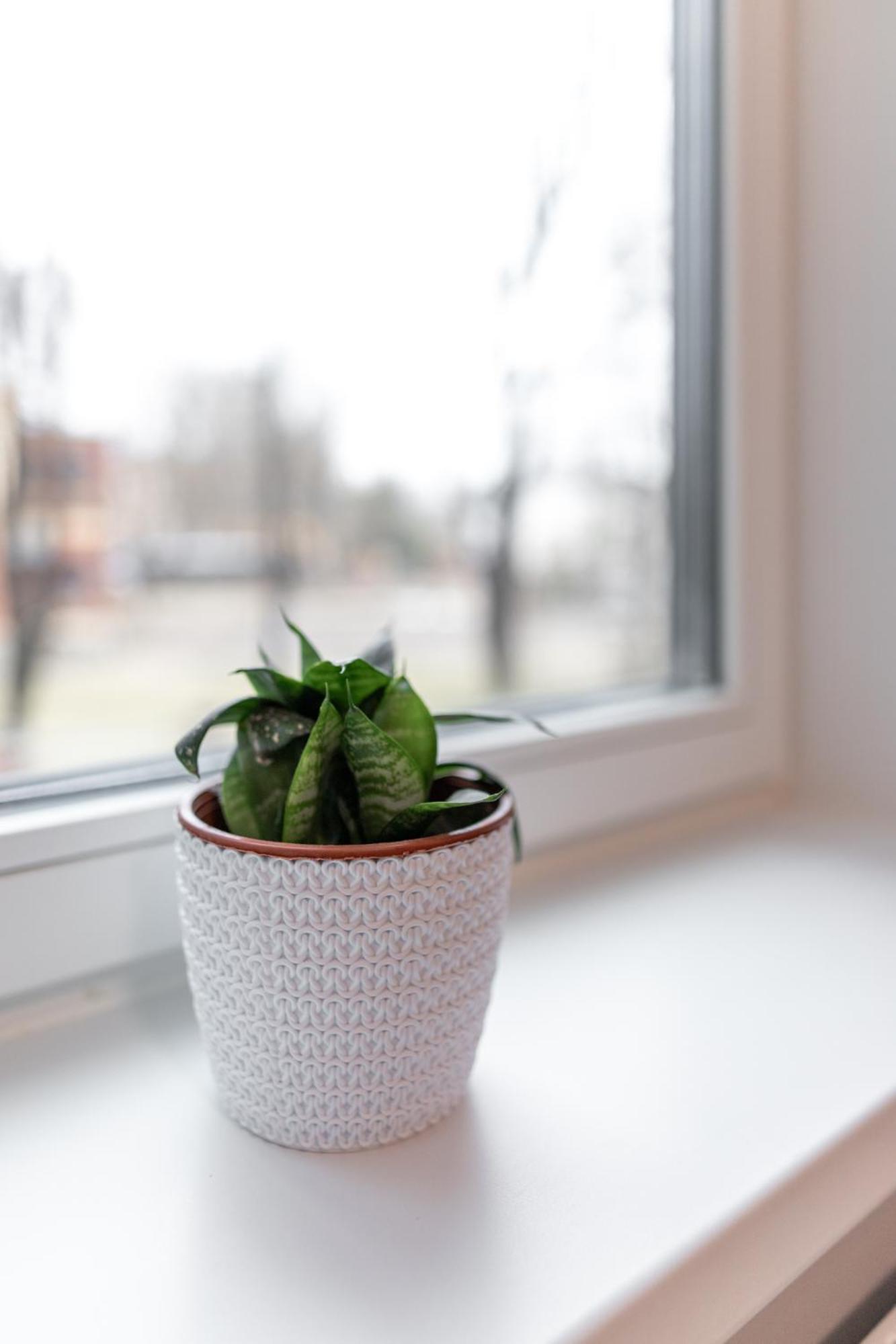 Pepleri Studio 29 Tartu Zewnętrze zdjęcie